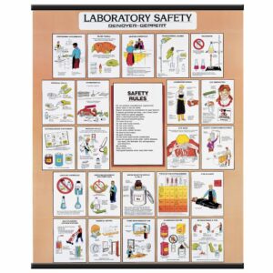 Laboratory Safety Chart