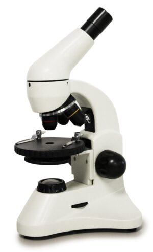 2070-B Beginner Microscope