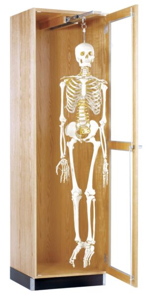 Hanging Skeleton Cabinet