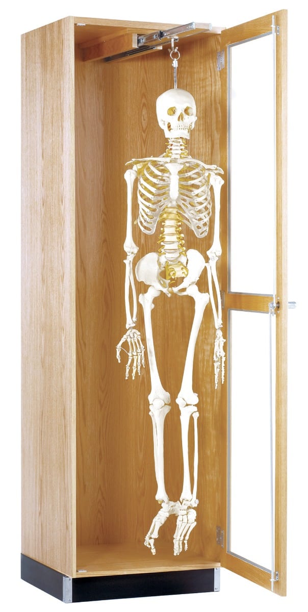 Hanging Skeleton Cabinet