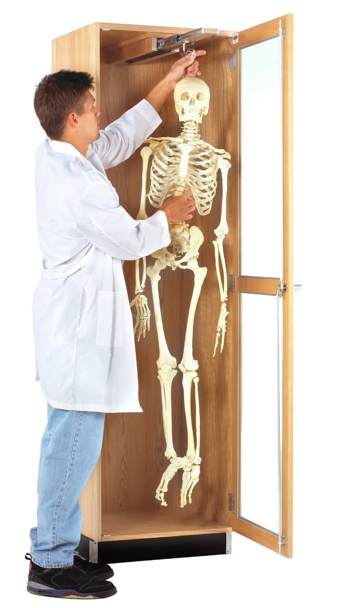 Hanging Skeleton Cabinet - Image 2
