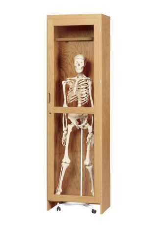 Skeleton Cabinet for Roll In Model