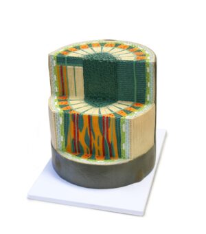 Walter Stem Column – Dicotyledon