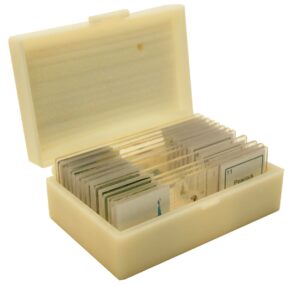 Beginner Plastic Prepared Slide Set