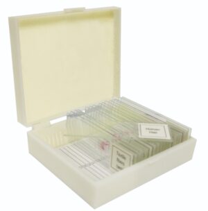 Basic Zoology Prepared Slide Set