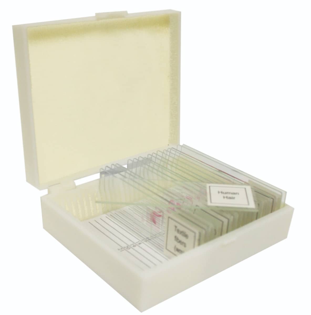 Microbiology/Genetics Prepared Slide Set