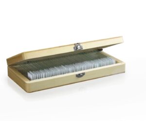 50 Prepared Slides - Variety Set