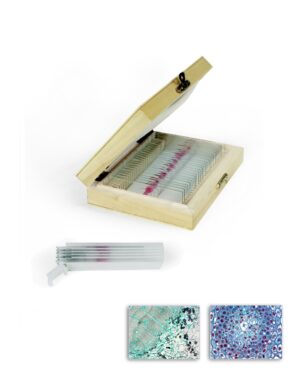 Plants Prepared Slides