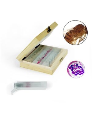 Zoology Prepared Slides