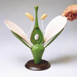 Denoyer Budget Giant Flower Dicot, 7 Parts