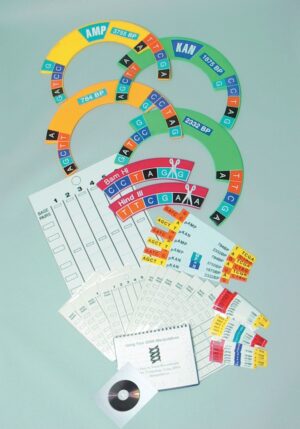 DNA Manipulatives Kit