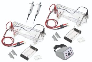 Walter EL-100-16 Electrophoresis Dual Station Set
