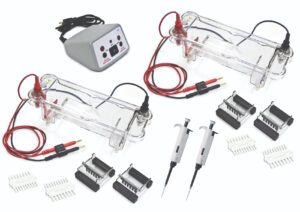 Walter EL-200-16 Electrophoresis Dual Station Set
