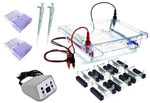 Walter Electrophoresis Classroom Kit