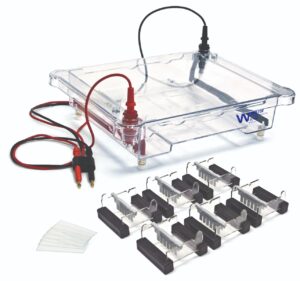 Walter EL-600 Electrophoresis Apparatus