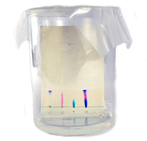 Paper Chromatography - Image 2
