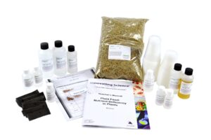 Plant Food – Nutrient Deficiency in Plants