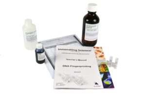 DNA Fingerprinting Electrophoresis Lab Activity