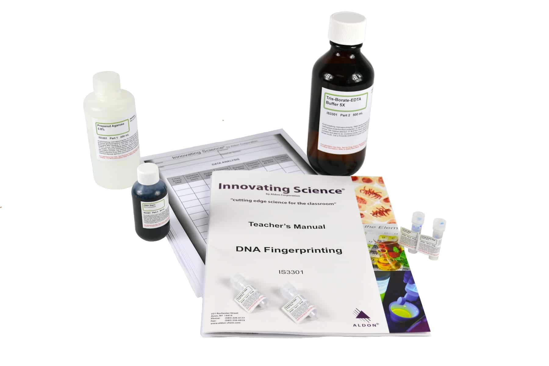 DNA Fingerprinting Electrophoresis Lab Activity