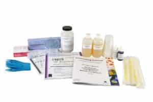 AP® Biology Investigation #7: Cell Division: Mitosis and Meiosis