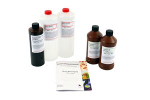 Gram's Stain Kit - Large