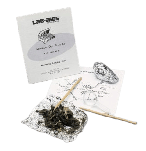 Individual Owl Pellet Study