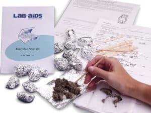 Basic Owl Pellet Study