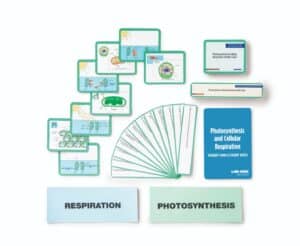 Photosynthesis and Cellular Respiration