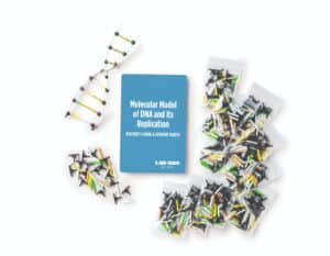 Molecular Model of DNA and its Replication