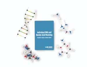 Individual DNA and Nucleic Acid Modeling