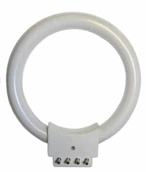 Fluorescent Ring Light Bulb 10W, 110V