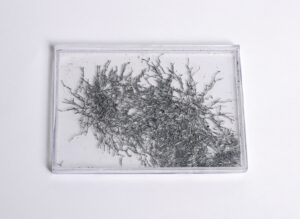 Student Magnetic Field Demonstrator