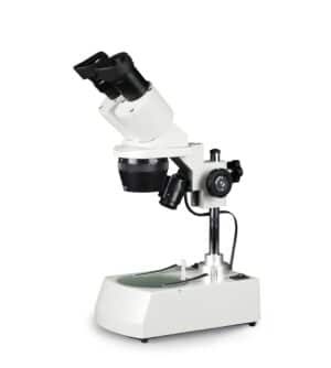 ST Series Stereo Microscopes