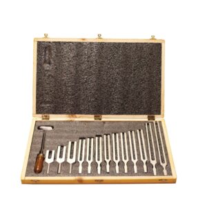 Tuning Fork Boxed Set of 13