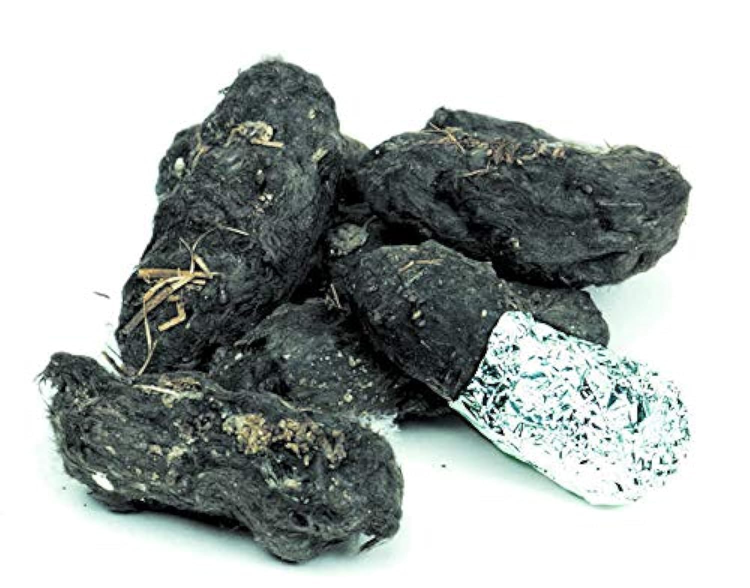 Large Barn Owl Pellets