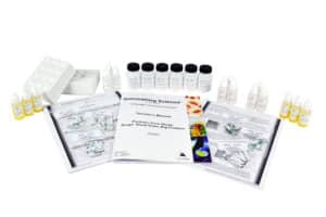 Forensic Case Study: Drugs – Small Town, Big Problem